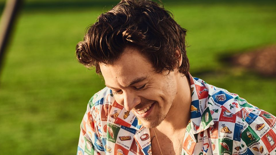 Harry Styles: Love On&nbsp;tour