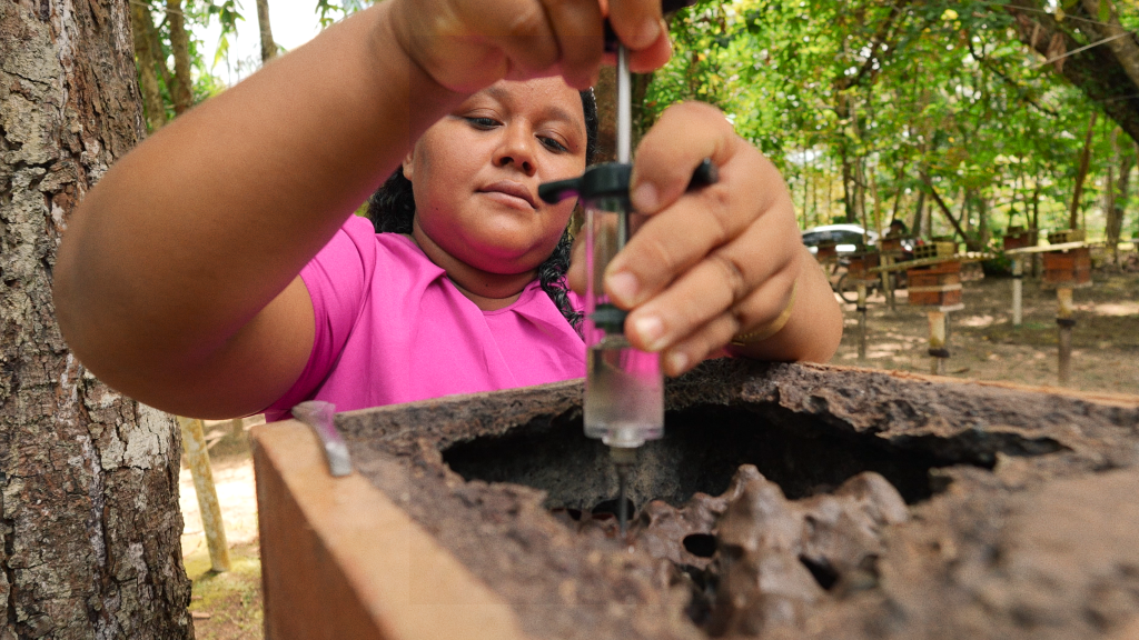  Rock in Rio e The Town estreiam série que apresenta iniciativas de Belém, selecionadas por meio de edital de R$ 2 milhões promovido pelos festivais, voltadas à preservação da Floresta Amazônica 